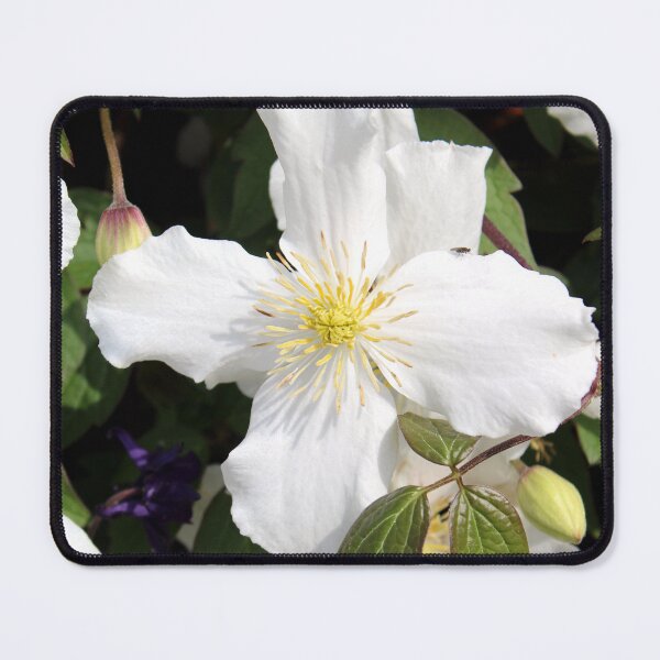 Item preview, clematis flowers designed and sold by KathleenDawson.