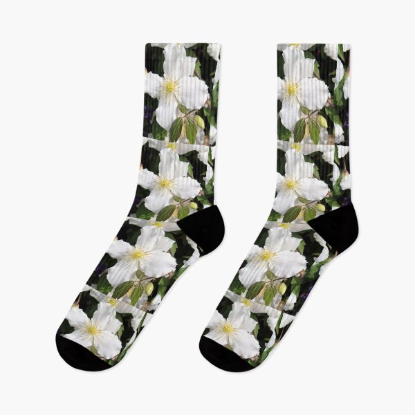 Item preview, clematis flowers designed and sold by KathleenDawson.