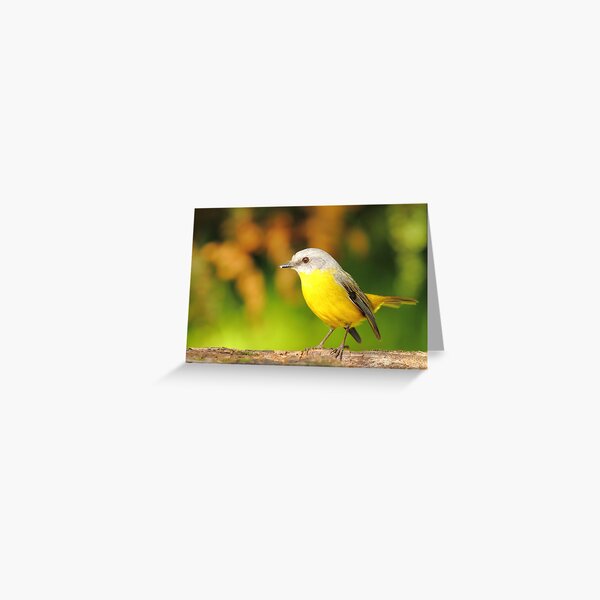 Green And Gold Greeting Card