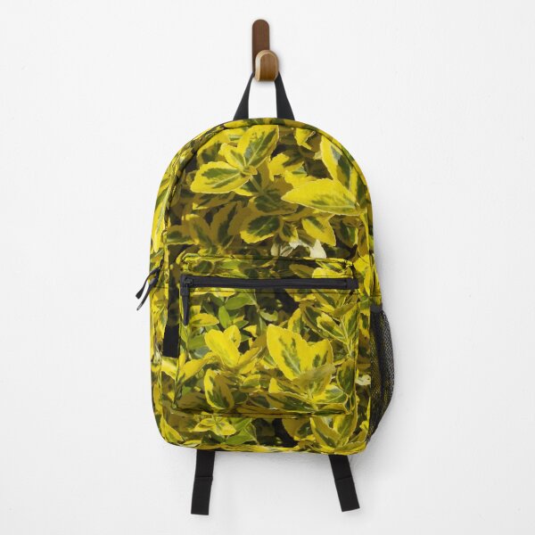 Item preview, Golden Euonymus In My Garden - Devon UK designed and sold by lezvee.