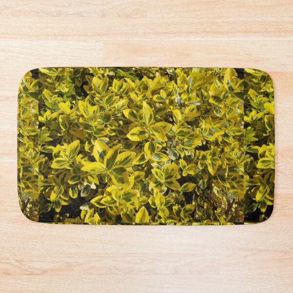 Item preview, Golden Euonymus In My Garden - Devon UK designed and sold by lezvee.