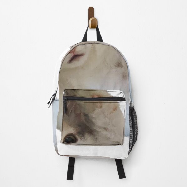Item preview, Surprised white kitten designed and sold by observation.