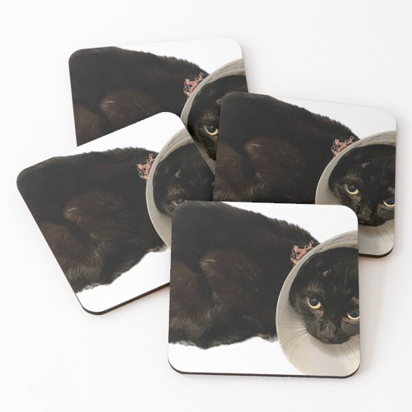 Item preview, Black cat cone of shame designed and sold by observation.