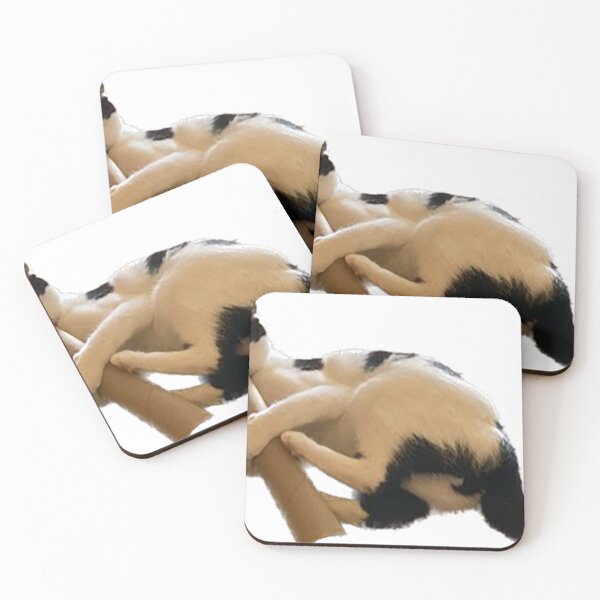 Item preview, Cat playing with cardboard tube designed and sold by observation.