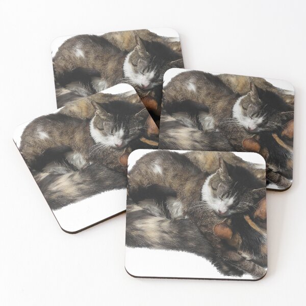 Item preview, Pile of cats designed and sold by observation.