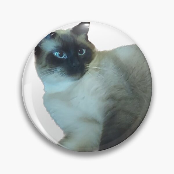 Item preview, Black and white cat relaxing designed and sold by observation.