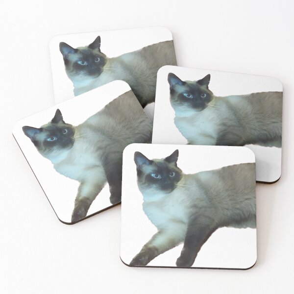 Item preview, Black and white cat relaxing designed and sold by observation.