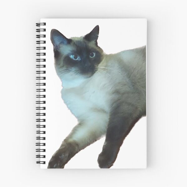 Item preview, Black and white cat relaxing designed and sold by observation.