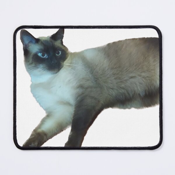 Item preview, Black and white cat relaxing designed and sold by observation.