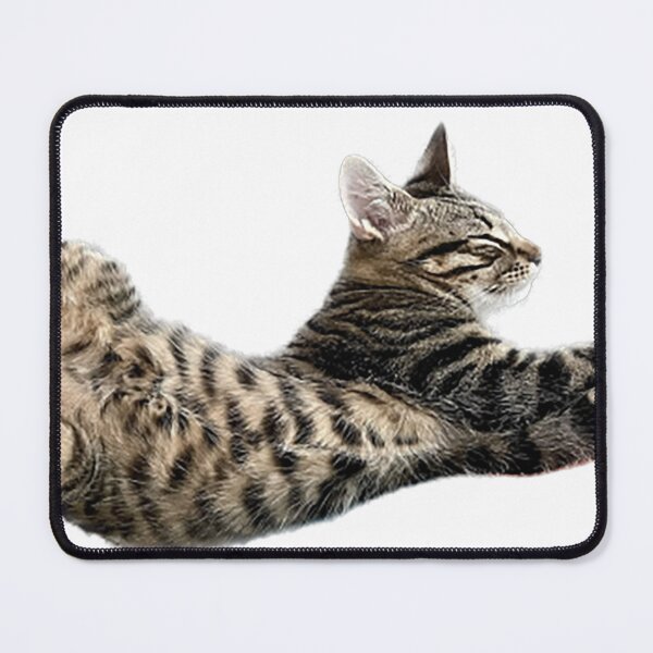 Item preview, Striped cat designed and sold by observation.