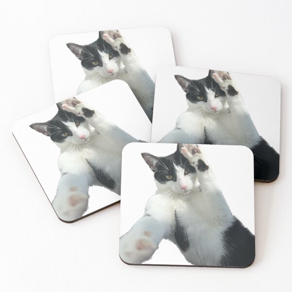 Item preview, Photogenic cat designed and sold by observation.