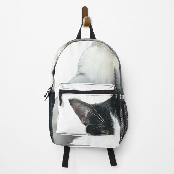 Item preview, Photogenic cat designed and sold by observation.