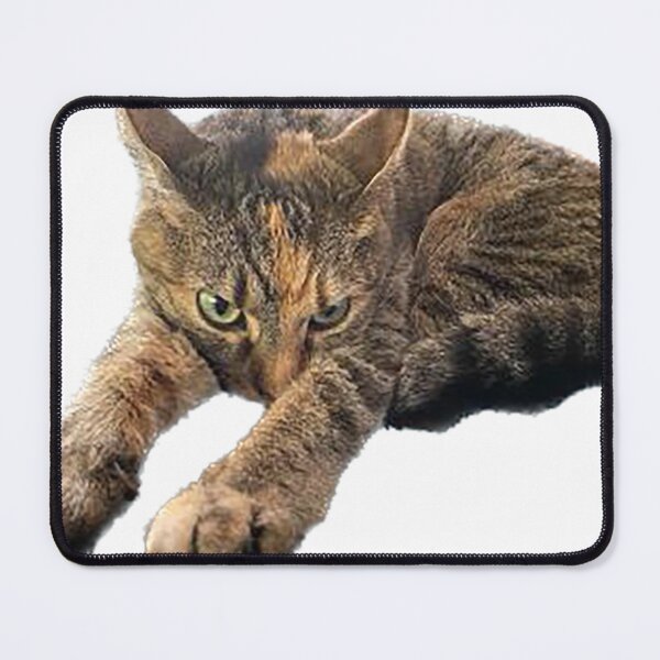Item preview, Cat with arms outstretched designed and sold by observation.