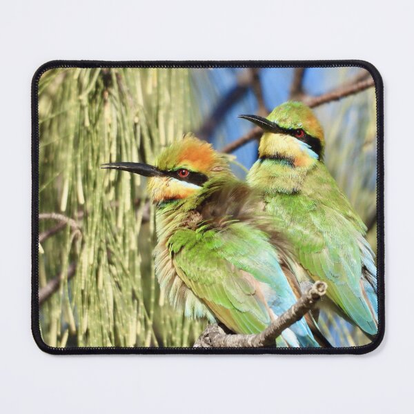 Item preview, Rainbow Bee-Eaters early morning designed and sold by Mark Grimsley.