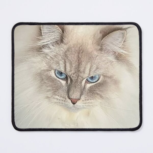 Item preview, Cat blob designed and sold by observation.