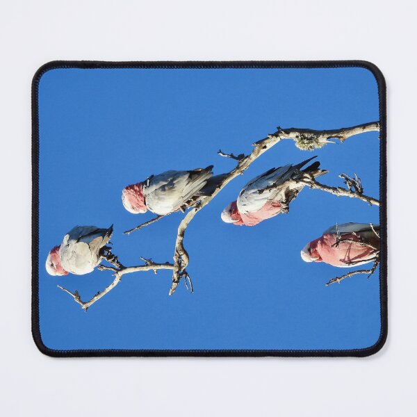 Item preview, Galah stack  designed and sold by Mark Grimsley.