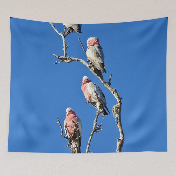 Item preview, Galah stack  designed and sold by Mark Grimsley.