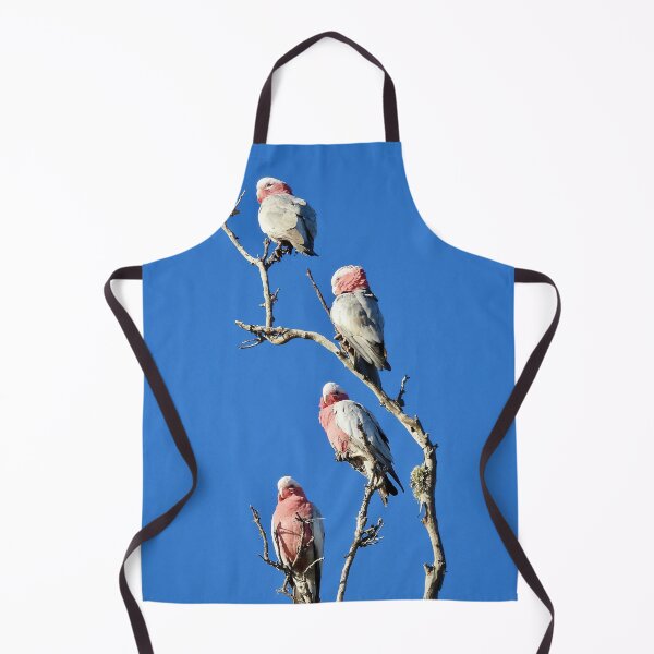 Item preview, Galah stack designed and sold by Mark Grimsley.