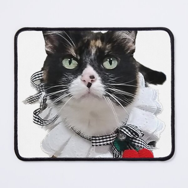 Item preview, Fancy cat designed and sold by observation.