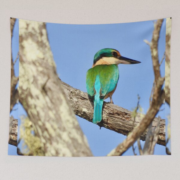Item preview, Sacred Kingfisher early morning designed and sold by Mark Grimsley.