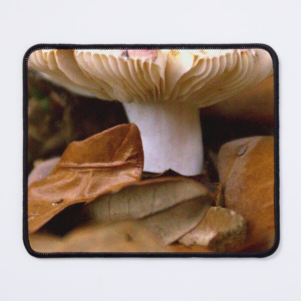 Item preview, Front Yard Fungi designed and sold by MercerImages.