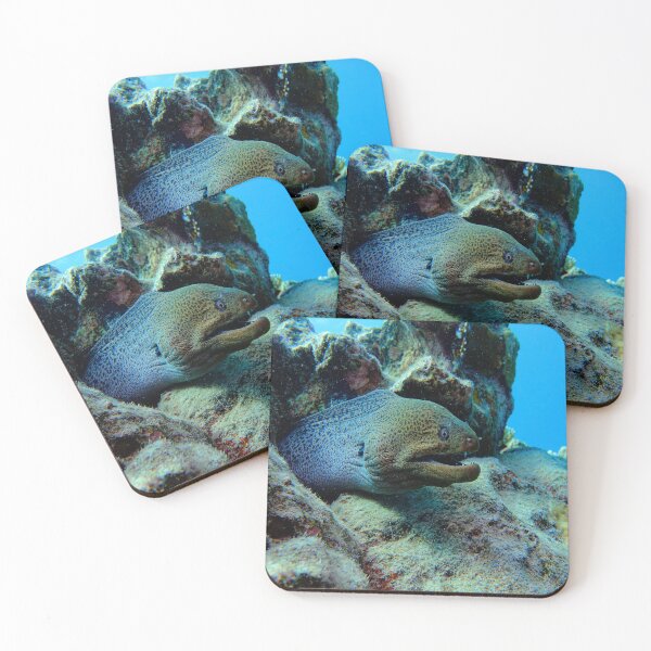 Item preview, Giant Moray in Vibrant Coral Reef Marsa Alam Red Sea Egypt designed and sold by Ahmed ElMekawy.