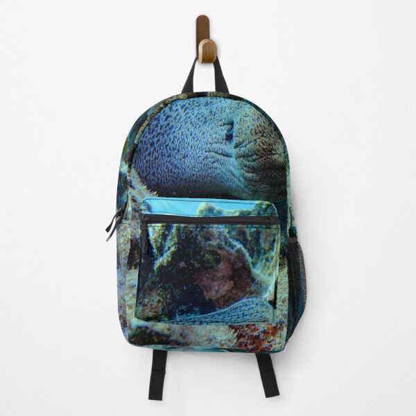 Item preview, Giant Moray in Vibrant Coral Reef Marsa Alam Red Sea Egypt designed and sold by Ahmed ElMekawy.
