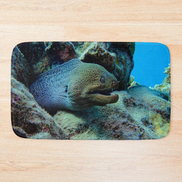 Item preview, Giant Moray in Vibrant Coral Reef Marsa Alam Red Sea Egypt designed and sold by Ahmed ElMekawy.