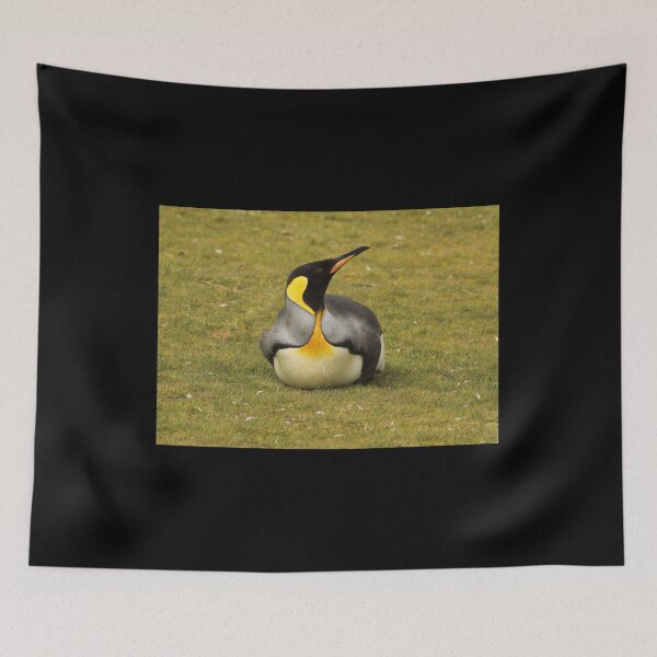 Item preview, King Penguin Laying in Grass (black background) designed and sold by SBPenguins.