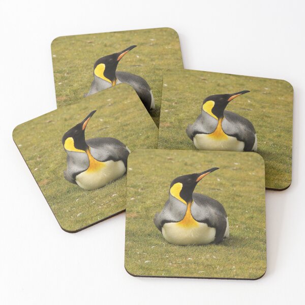 Item preview, King Penguin Laying in Grass designed and sold by SBPenguins.