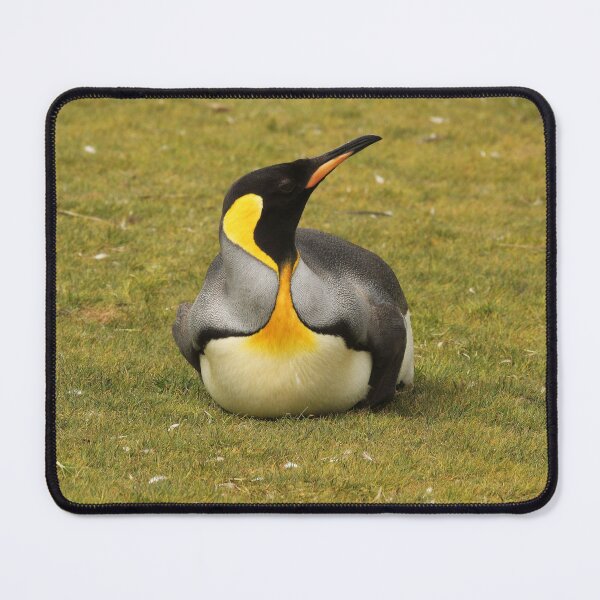 Item preview, King Penguin Laying in Grass designed and sold by SBPenguins.