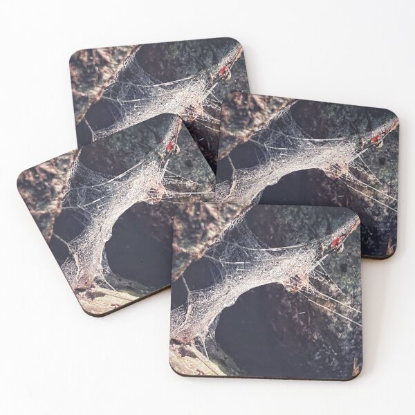 Item preview, Spider Web designed and sold by goodieg.