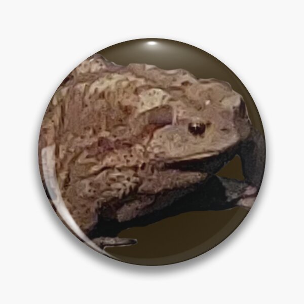 Item preview, Brown Frog Toad designed and sold by chookiebookie.