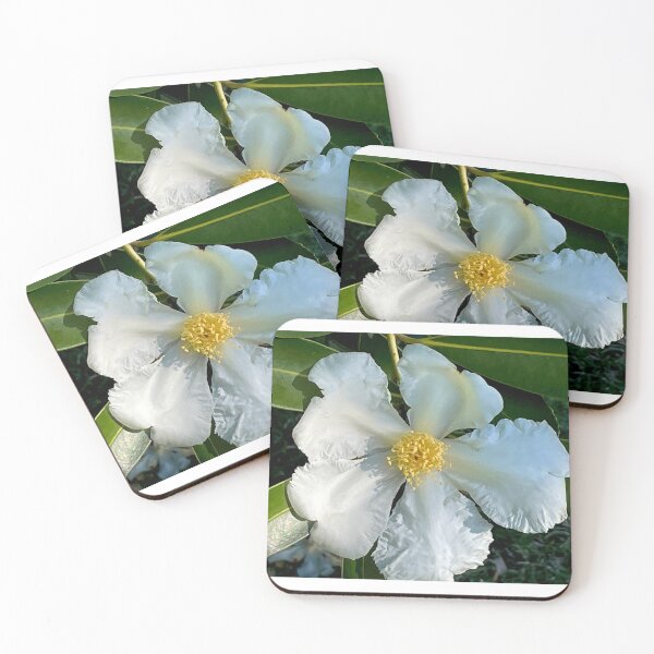 Item preview, Camellia of White designed and sold by KazM.