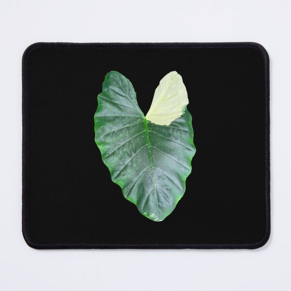 Item preview, Alocasia Leaf designed and sold by Meo Design.