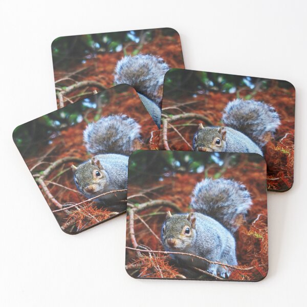 Item preview, Gray Squirrel Feeling Watched designed and sold by KaSaPo.