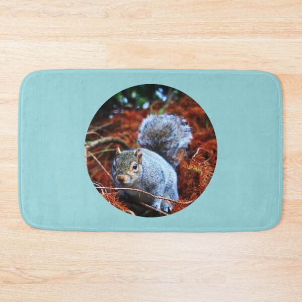 Item preview, Gray Squirrel Feeling Watched designed and sold by KaSaPo.