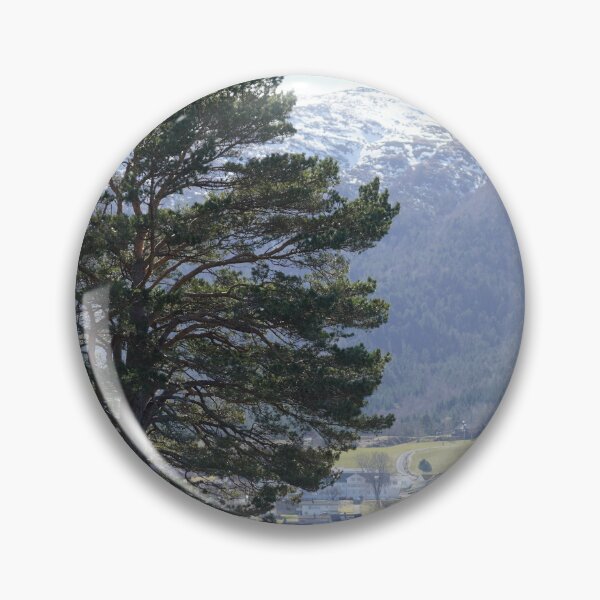 Item preview, Pinus sylvestris designed and sold by Norwegian Outdoors.