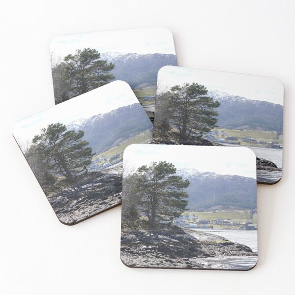 Item preview, Pinus sylvestris designed and sold by Norwegian Outdoors.