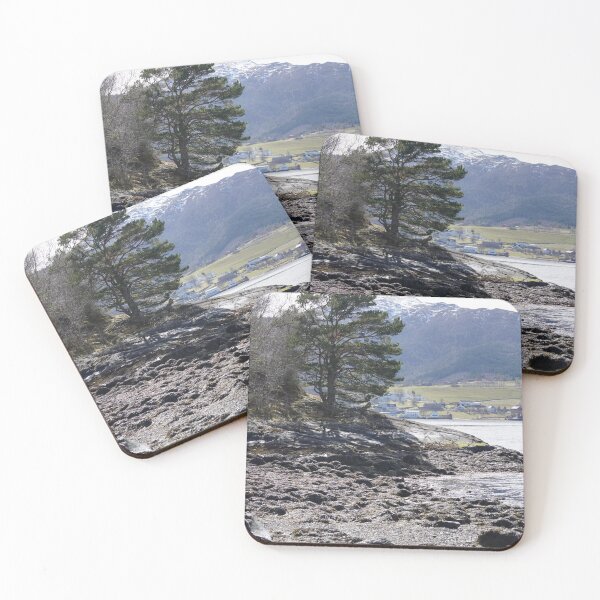 Item preview, Pinus sylvestris designed and sold by Norwegian Outdoors.