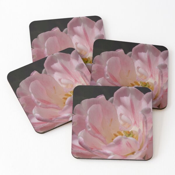 Item preview, Bloom of a tulip designed and sold by Bloom-N-Blossom.