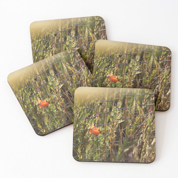 Item preview, The South Downs Countryside 1 designed and sold by frankces.