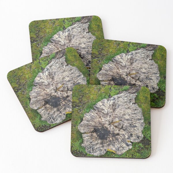Item preview, Stumped designed and sold by Steve Walser.