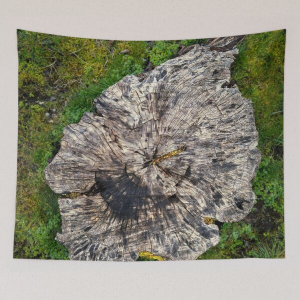 Item preview, Stumped designed and sold by Steve Walser.