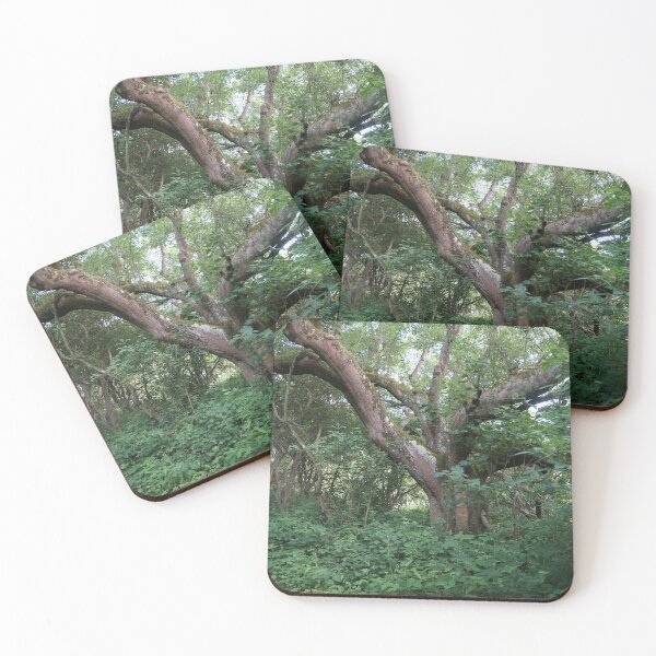 Item preview, Copy of The South Downs Countryside 2 designed and sold by frankces.