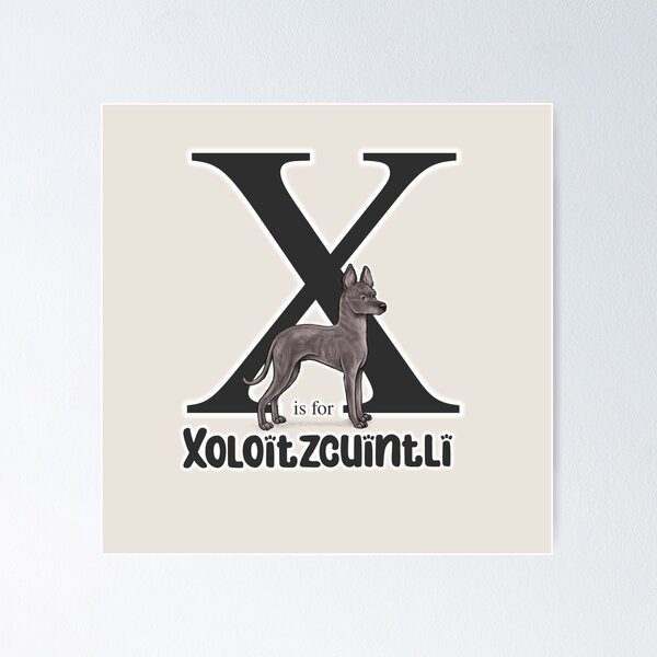 Vista previa del artículo con la obra «X es para Xoloitzcuintli », diseñado y vendido por Elspeth Rose Design.