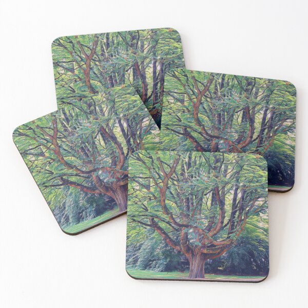 Item preview, #34 Vondelpark - Amsterdam - Street Photography 22 May 2024 designed and sold by IntFix.