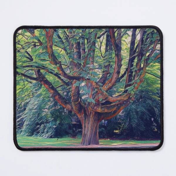 Item preview, #34 Vondelpark - Amsterdam - Street Photography 22 May 2024 designed and sold by IntFix.