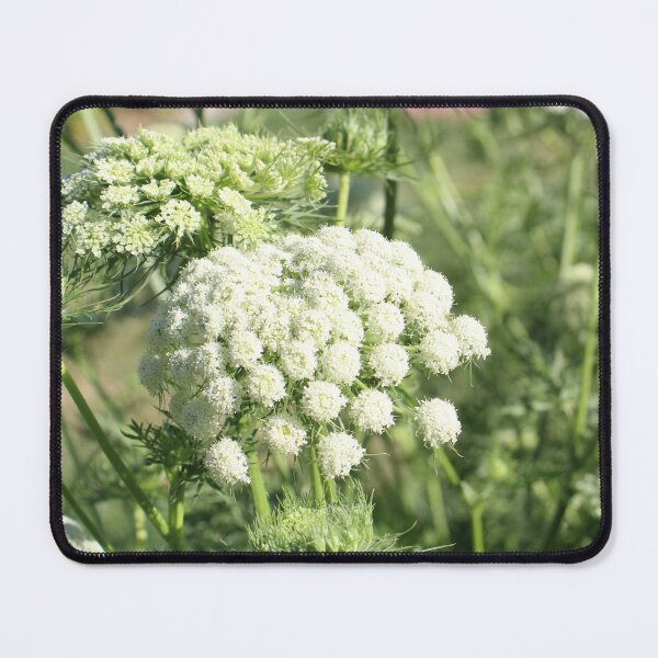 Item preview, Carrot Top designed and sold by PresMatPlays.