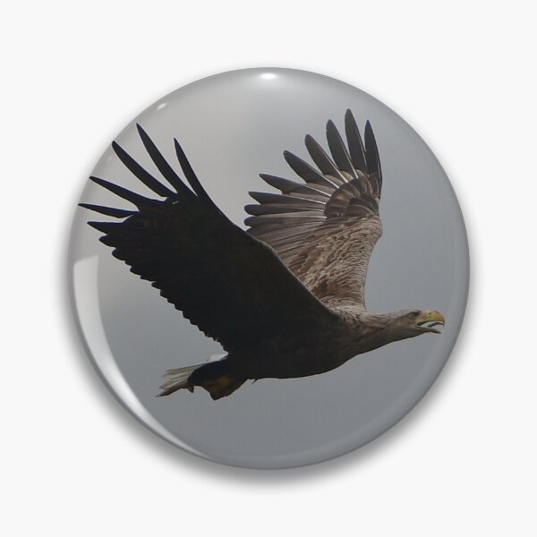 Item preview, White Tailed Sea Eagle. Isle of Mull designed and sold by Derren Jones.